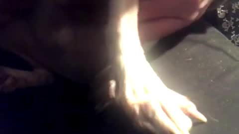 zero online show from 7, 3, 2025