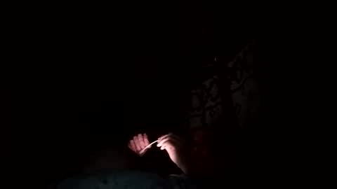 zigor13 online show from 24, 2, 2026