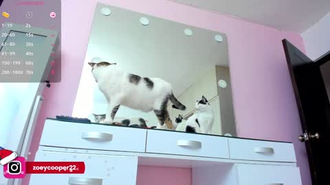 Snapshot of zoey_cooper chatting on 30, 12, 2024 zoey Independent model online show from 30, 12, 2024