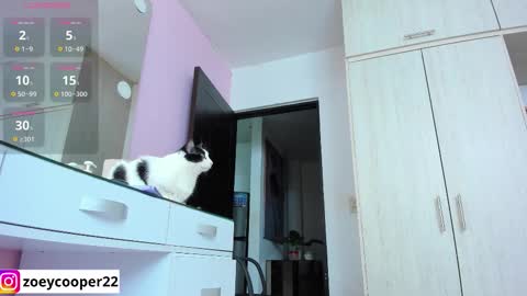 zoey  Independent model online show from 12, 11, 2025