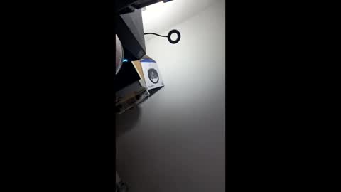 zorrodelavega online show from 20, 4, 2026