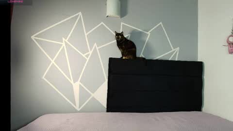 zpzphot online show from 25, 3, 2026