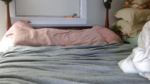 zymase online show from 7, 12, 2024