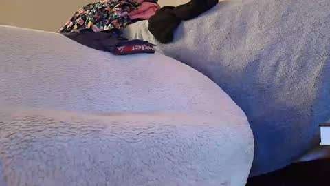 Snapshot of zymase chatting on 24, 6, 2026 zymase online show from 24, 6, 2026