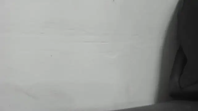 Snapshot of roxana_collins chatting on 16, 1, 2025 roxana collins online show from 16, 1, 2025