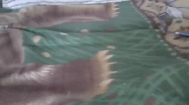 Snapshot of zorritasuperhot chatting on 9, 2, 2025 zorritasuperhot online show from 9, 2, 2025