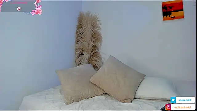 ariel35 online show from 13, 4, 2026