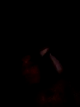 hungpenis210 online show from 23, 2, 2026