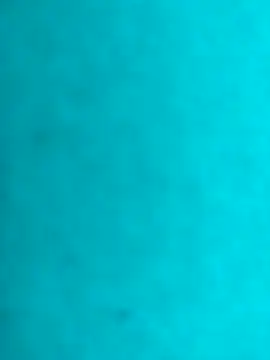 JRock69nKzoo online show from 21, 2, 2026