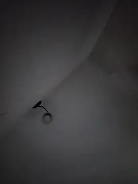 LissaThompsom online show from 4, 3, 2026