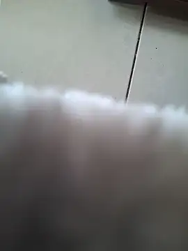 biboii online show from 8, 2, 2025