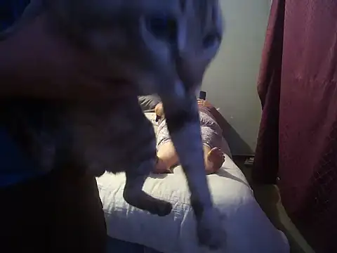 Snapshot of hothouse18xxx chatting on 30, 12, 2024 hothouse18xxx online show from 30, 12, 2024