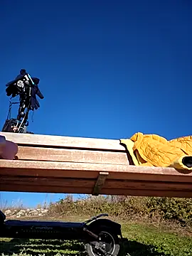 bellapaty online show from 3, 12, 2025