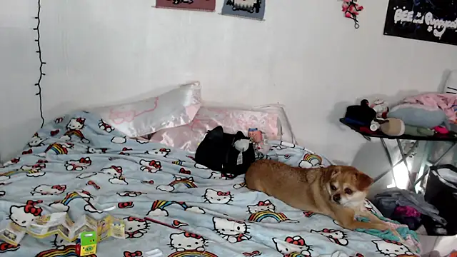 Cupcakecutie449 online show from 5, 3, 2026