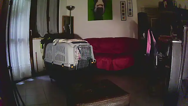 Sabrina-Palermo online show from 6, 1, 2026