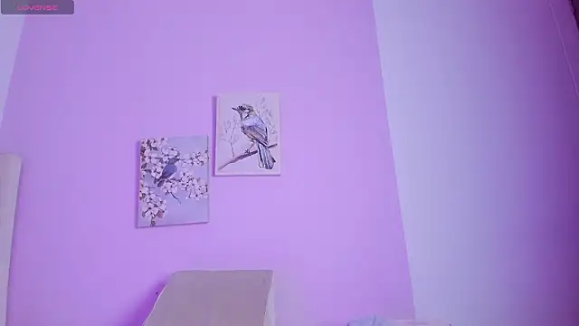 Mhia palmer online show from 15, 2, 2026