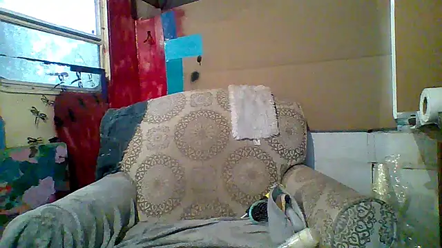 spundarella420 online show from 10, 3, 2025