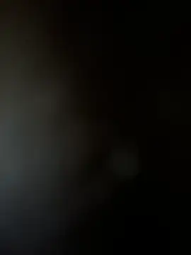 Yurt000 online show from 3, 2, 2025