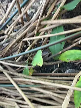 Yurt000 online show from 11, 9, 2025