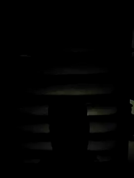 ZIMMY25 online show from 31, 3, 2026