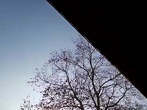 Snapshot of Mia_Railey chatting on 7, 3, 2025 Mia Railey online show from 7, 3, 2025