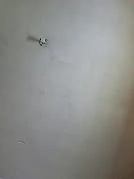 Snapshot of Ricorry@xh chatting on 14, 12, 2024 Ricorryxh online show from 14, 12, 2024