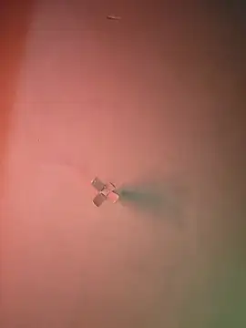 Snapshot of Ricorry@xh chatting on 9, 9, 2025 Ricorryxh online show from 9, 9, 2025