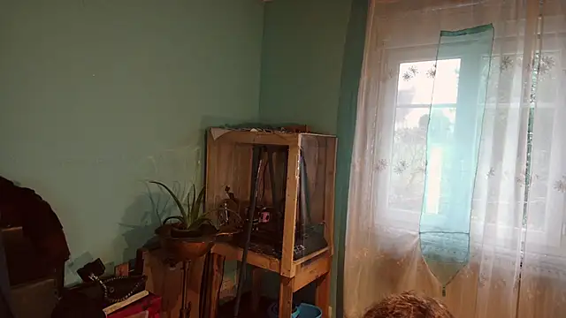 Prxscillia Tx online show from 13, 12, 2024