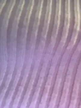 Snapshot of Isabellafantazy chatting on 16, 12, 2025 Isabellafantazy online show from 16, 12, 2025