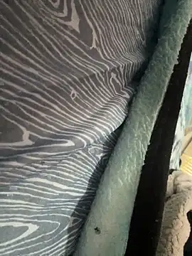 Snapshot of Followthepiper chatting on 10, 11, 2025 Followthepiper online show from 10, 11, 2025