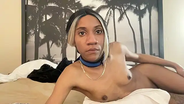 Snapshot of cutiesigh chatting on 9, 3, 2026 cutiesigh online show from 9, 3, 2026