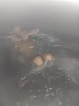 bella8769 online show from 21, 2, 2026