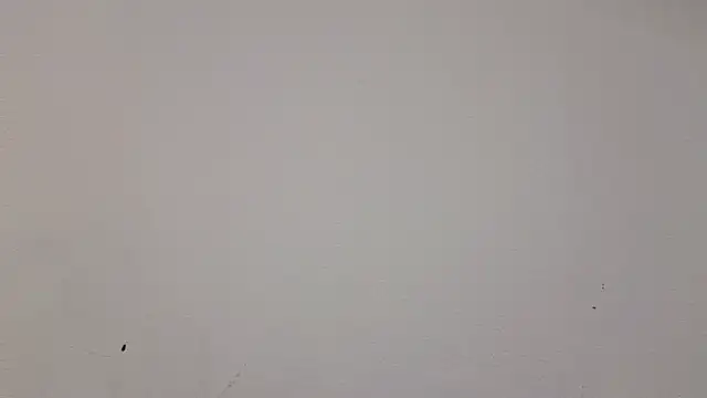   Nina online show from 19, 2, 2025