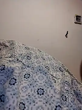 Treemandude online show from 12, 1, 2026