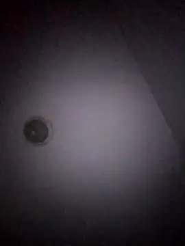 Treemandude online show from 15, 1, 2026