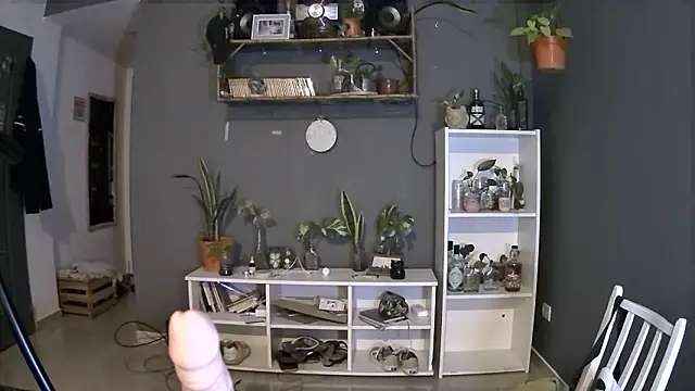 Snapshot of stupid_babybird chatting on 4, 3, 2025 stupid babybird online show from 4, 3, 2025