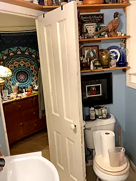 Snapshot of sexyasscougar chatting on 6, 10, 2025 sexyasscougar online show from 6, 10, 2025