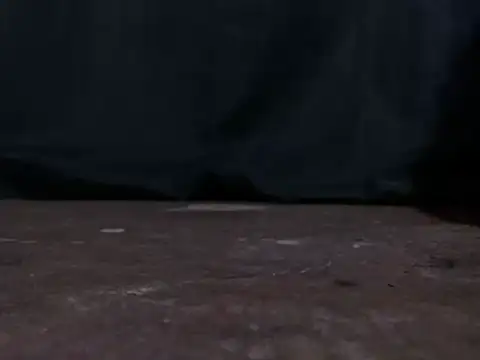 normangie69 online show from 5, 3, 2026