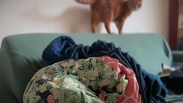 Brianjonest online show from 22, 3, 2026