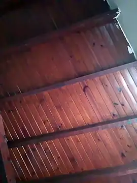 gala2 online show from 25, 9, 2025