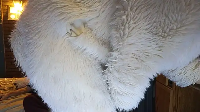 PropertyAndBiker online show from 7, 12, 2024