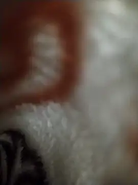 FantasticWonders9 online show from 12, 4, 2026