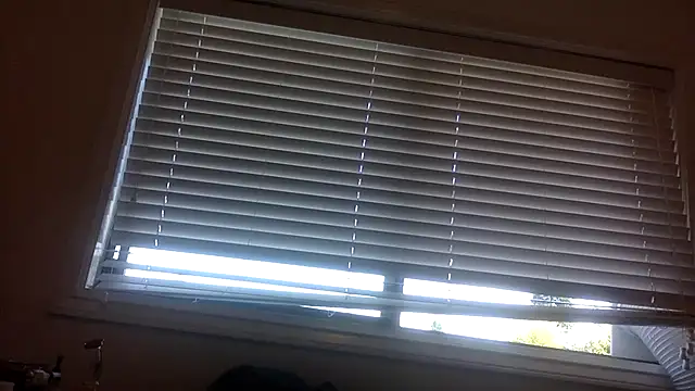 lilboygonewild online show from 8, 9, 2025