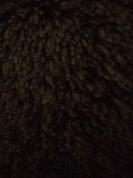 powermast online show from 18, 1, 2026