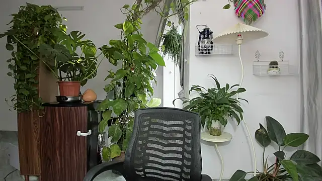 Oliver Nl online show from 17, 11, 2025