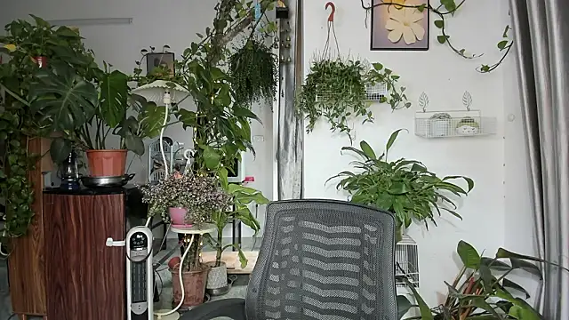 Oliver Nl online show from 14, 3, 2026