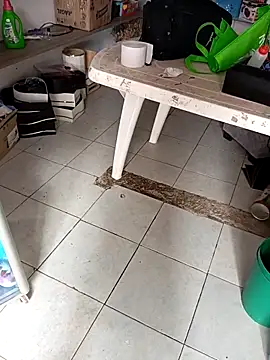 VivienAndClark online show from 2, 12, 2025