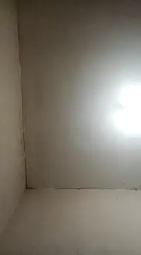 fieltoprj1 online show from 5, 1, 2025