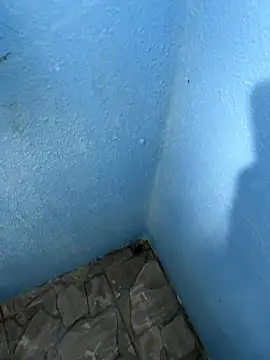 Snapshot of mfloressd14 chatting on 8, 1, 2026 mfloressd14 online show from 8, 1, 2026