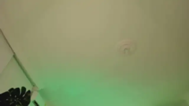 Taylor  foxxx online show from 6, 3, 2025